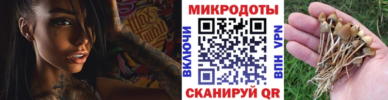 Галлюциногенные грибы мухоморы Шарыпово