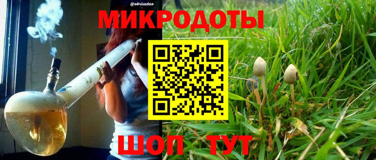 купить   Шарыпово  Галлюциногенные грибы прущие грибы 