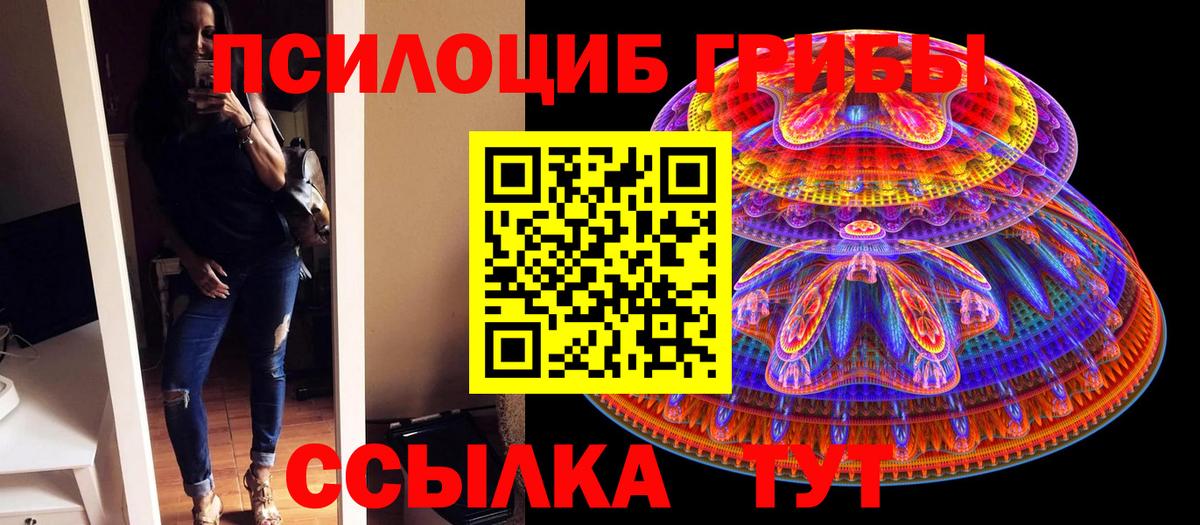 Псилоцибиновые грибы Psilocybine cubensis  Вход с VPN  Галлюциногенные грибы прущие грибы  Шарыпово 